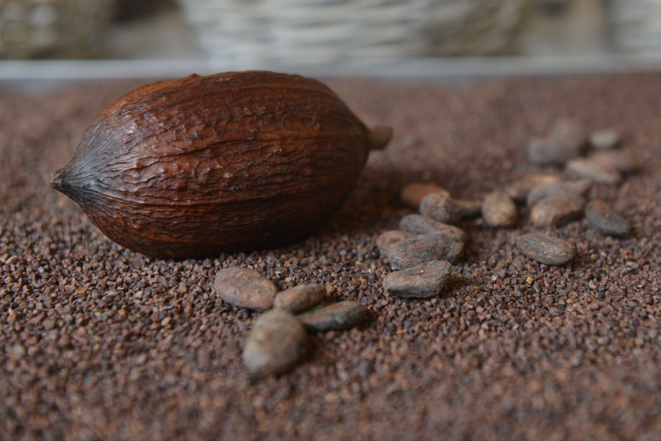 Fève Cacao Tristan chocolatier Suisse
